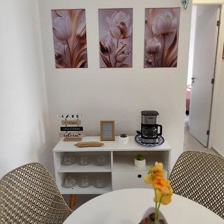 Apartamento Novo Com Jardim Privativo! Fortaleza (Ceara)